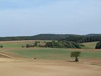 Ziegenküppel von Südwesten