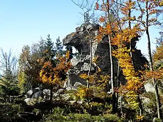 Zipftannenfelsen im Herbst