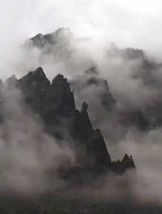 Żabia Lalka und Żabi Mnich