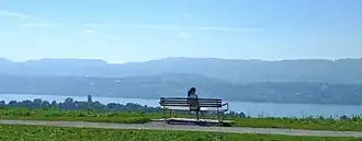 Zimmerberg zwischen Zürichsee und Albiskette