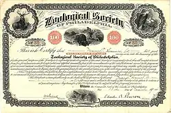 5 % Anleihe über 100 $ der Zoological Society of Philadelphia, ausgegeben am 10. März 1914, im Original unterschrieben von dem Arzt, Zoologen und Naturschützer Charles B. Penrose als Präsident. Das Zertifikat beinhaltete auch freie Eintrittskarten für den Zoo-Besuch.
