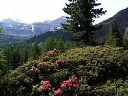 Weg zur Zufallhütte mit erkennbarem Wasserfall