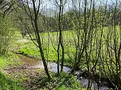 Buscherhofbach – linker Zufluss zum Lüttringhauser Bach