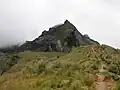 Auf dem Weg zum Gipfel des Rucu Pichincha