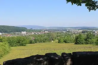 Nordwesthang des Monte Diggelmann, im Hintergrund Zürich Nord und die Lägern