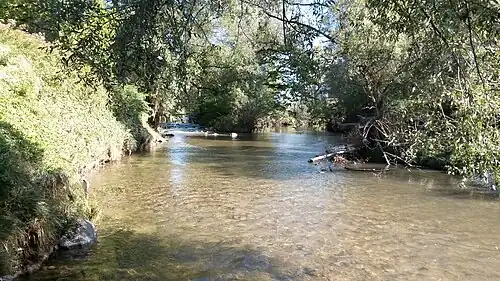 Zusammenfluss Dornbirner Ache (rechts) mit der Schwarzach (links) bei Flusskm 7,46 (Dornbirner Ache)
