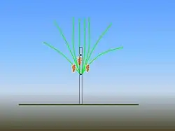 Triebverteilung bei zwei Spanndrähten (schwarze Punkte)