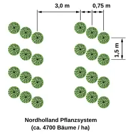 Dreifachreihe (Nordholland-System)