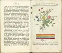 Abbildung einer Stickerei mit Erklärung zur Verwendung der Farben im Almanach für junge Herren und Damen (1805)
