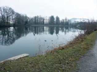 Sternenweiher gegen den Abschlussdamm im Osten