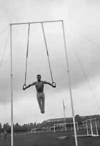 Einari Allan Teräsvirta, 1936