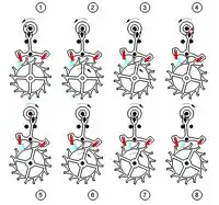 Schweizer Ankerhemmung (Funktion)