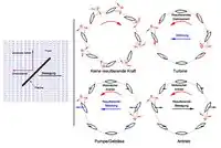 Schwenkflügelpropeller (Prinzip)